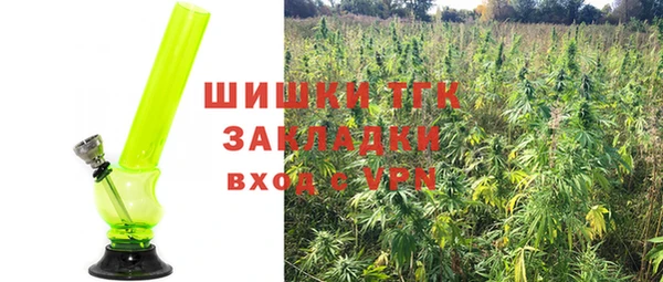 гидра Киренск