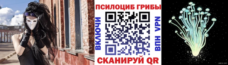 Галлюциногенные грибы Magic Shrooms  Мосальск 